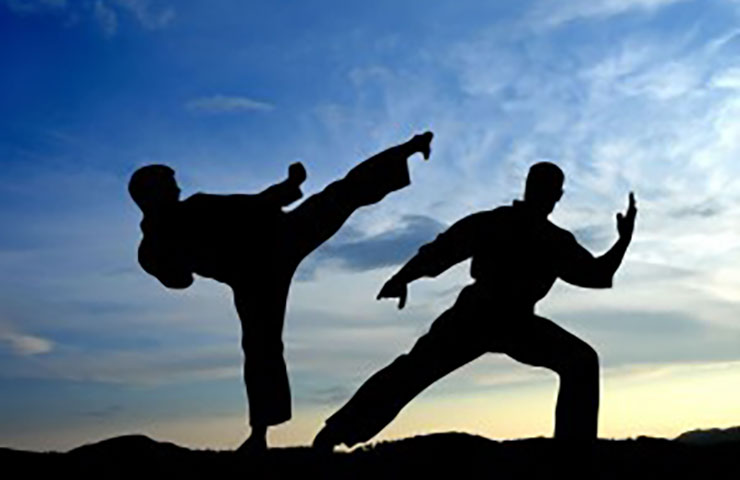 Tai chi fighting silhouettes